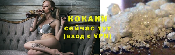 прущие грибы Краснотурьинск
