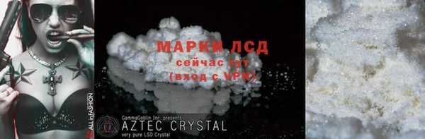 прущие грибы Краснотурьинск
