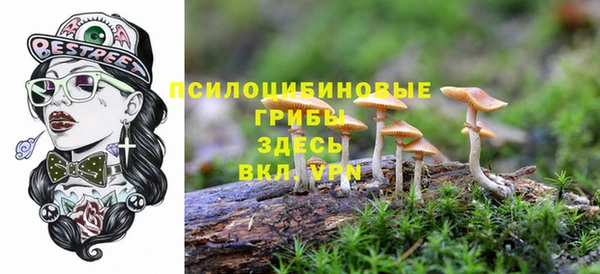 прущие грибы Краснотурьинск
