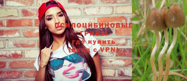прущие грибы Краснотурьинск