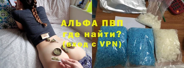 прущие грибы Краснотурьинск