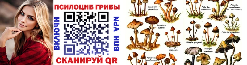 Галлюциногенные грибы MAGIC MUSHROOMS  Купить закладки  Острогожск 